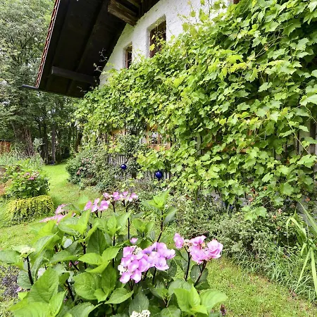 Alluring In Altreichenau With Garden 別荘 ノイライヒェナウ