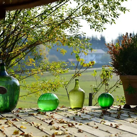 Alluring In Altreichenau With Garden 別荘 *